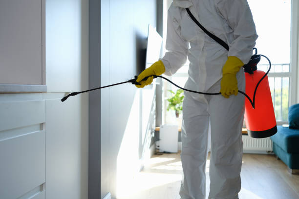 Best DIY Mold Remediation Support Services in Fort Calhoun, NE